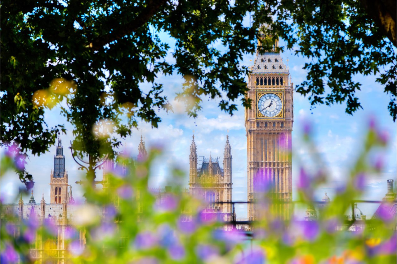Big Ben can be seen in the distance, with purple flowers in the foreground creating an abstract view
